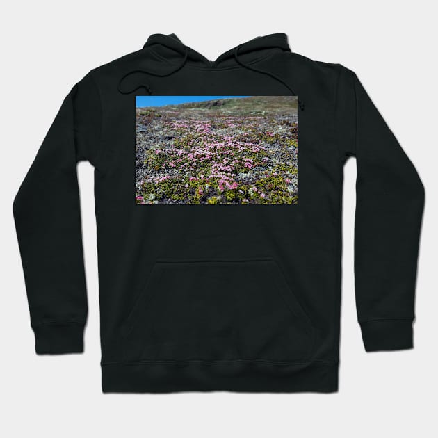 Petite Flowers of the Tundra Hoodie by andykazie